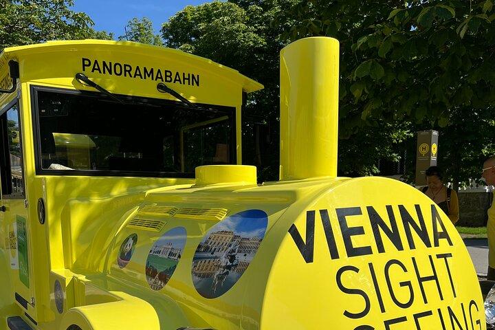 Vienna Schönbrunn Palace and Panorama Train