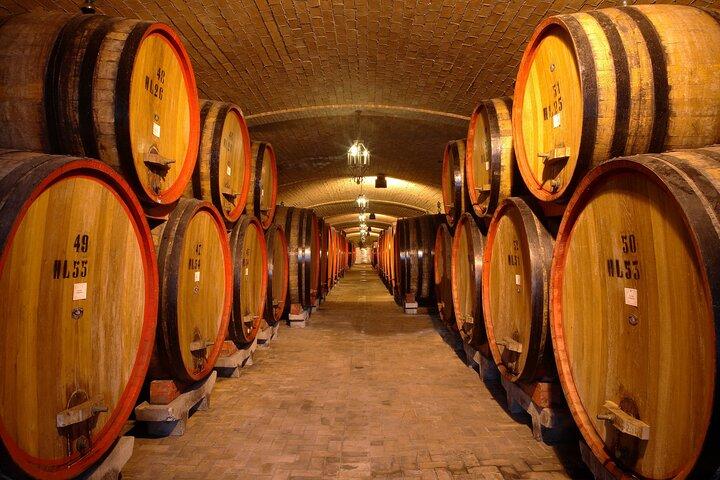 Wine lovers experience in Montepulciano: full day