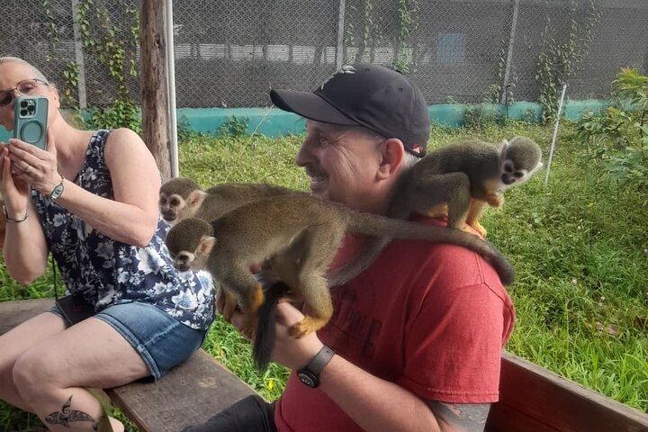 Monkey Paradise Experience and Puerto Plata City Tour