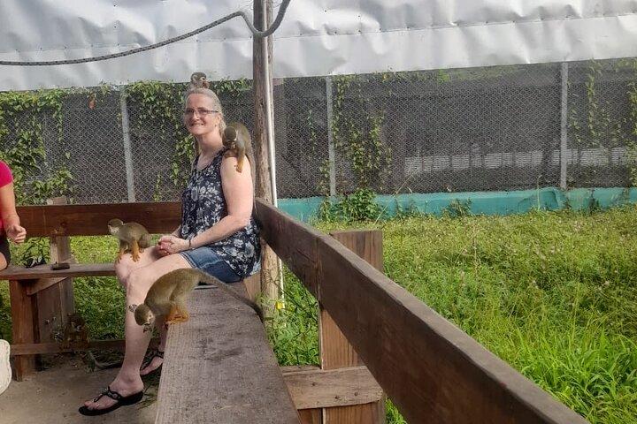Monkey Paradise Experience and Puerto Plata City Tour