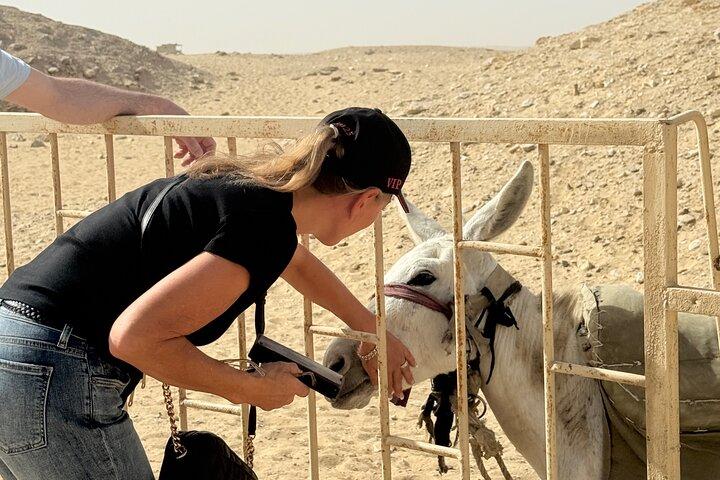 Day tour to Giza pyramids & sphinx, saqqara and Memphis