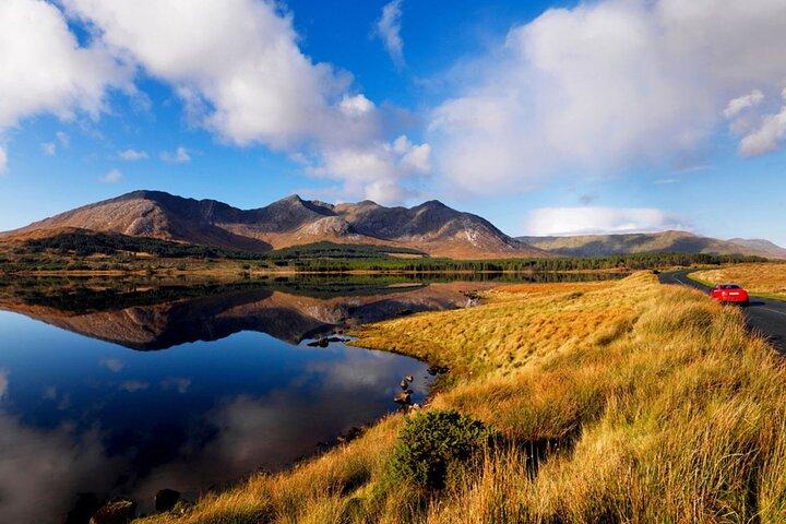 Connemara, Kylemore Abbey& Sheepdog herding demo from Galway City
