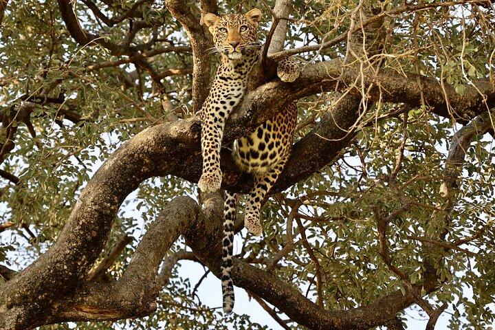 3-Day Group Camping safari Tarangire, Lake Manyara & Ngorongoro