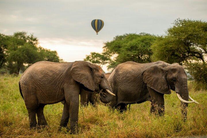 3-Day Group Camping safari Tarangire, Lake Manyara & Ngorongoro