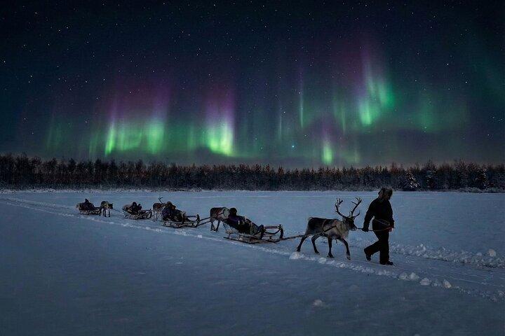 Reindeer Sleigh Ride Across the Night in Apukka Resort Rovaniemi