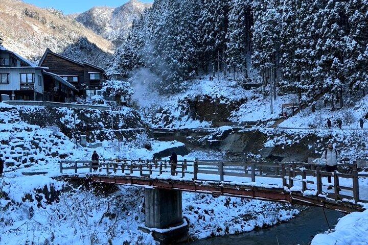 Nagano Day Trip Togakushi Shrine and Jigokudani Monkey Park