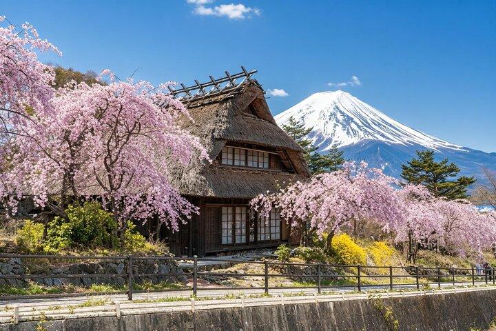 Tokyo: Mount Fuji Must-see Attractions One Day Sightseeing Tour