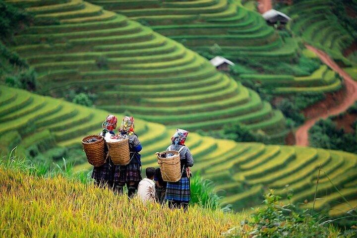 Mai Chau Day Tour from Hanoi Bike and Ethnic Village Experience