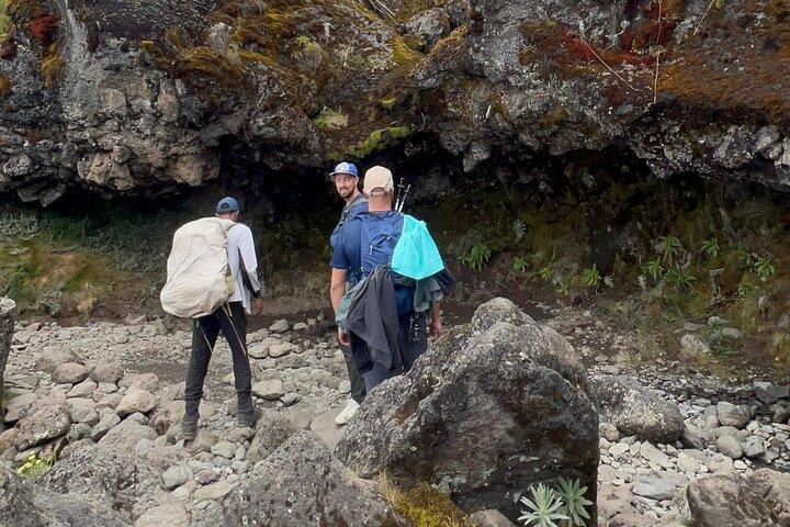Kilimanjaro Day Hike to Shira Plateau with Picnic Lunch