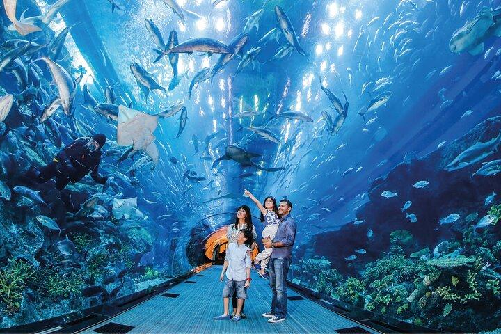 Dubai Unlimited Attraction Pass 3 or 5 days