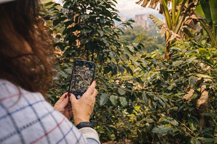 Private Tour to Guatapé & Coffee Farm from Medellín!
