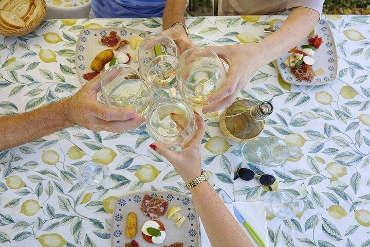 Amalfi: Organic Lemon Tour + Limoncello + Honey + Wine Tastings