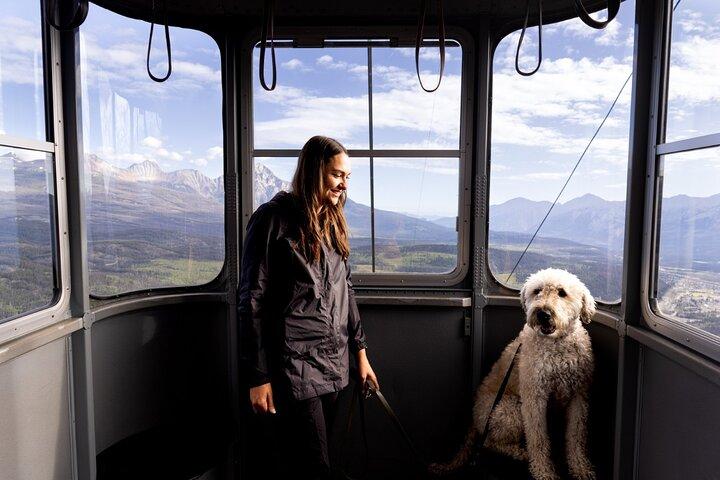 Jasper SkyTram Roundtrip Flight Ticket