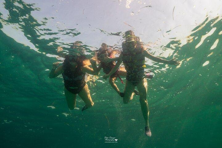 Swim With Dolphins and Shell Island Snorkeling Adventure