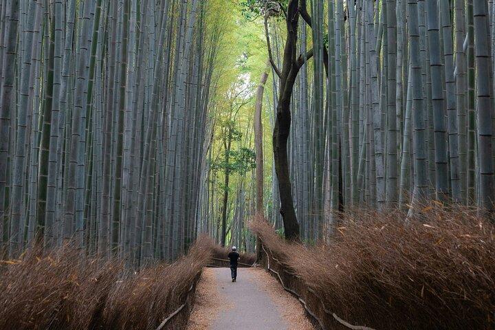 Kyoto Private Hightlights Customizable Tour&English Driver Guide