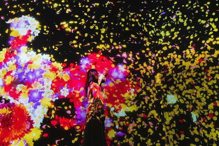 Tokyo Private Tour: teamLab Planets & Tsukiji Market