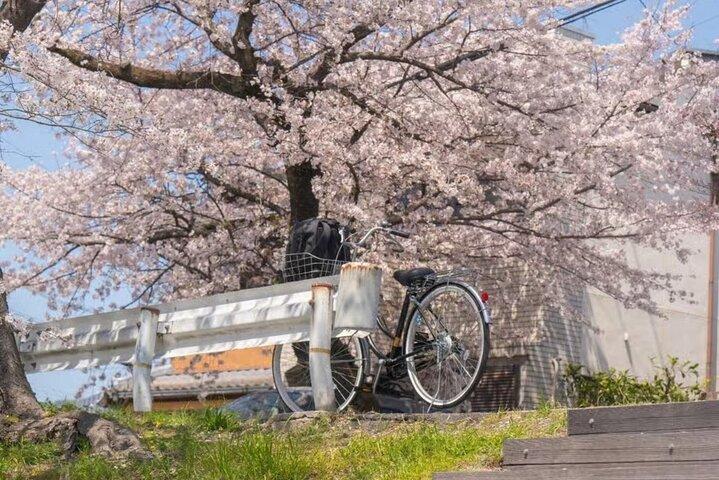 Kyoto Sakura Boat & Seasonal Car Tour