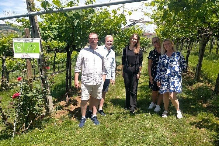 Amarone-Valpolicella tour. Visit Verona from Venice, Treviso