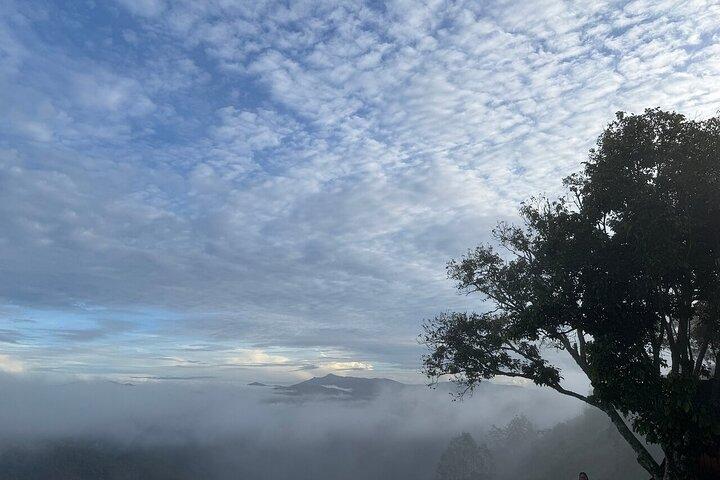 Dalat Early Morning Cloud Hunting and Sunrise Adventure Tour