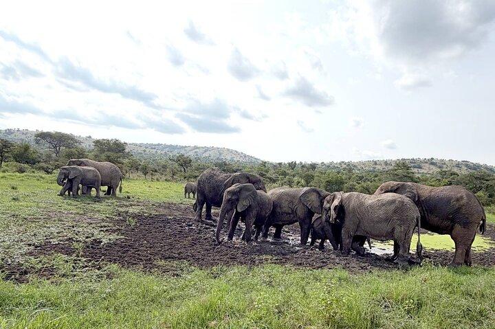 Private 1 Day Big Five Safari in Akagera From Kigali