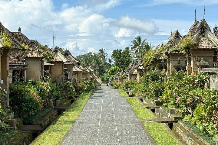 Besakih Temple Tour - Traditional Bali Village - All Inclusive