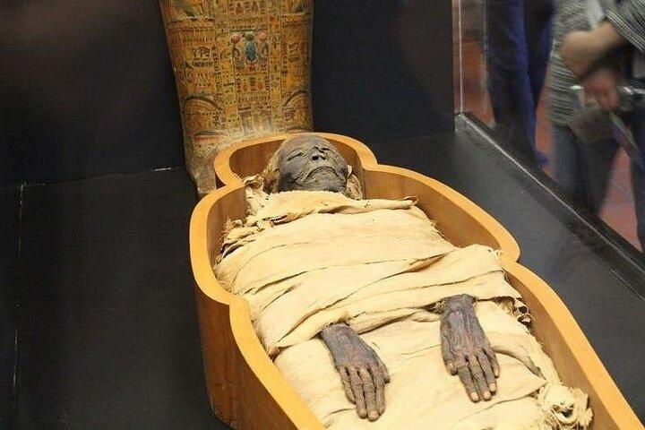 National Museum of Egyptian Civilization Guided Tour