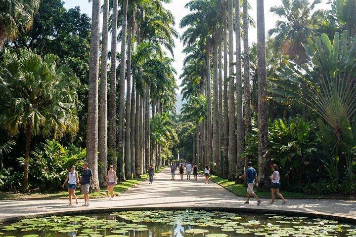 Discover Rio de Janeiro: A Guided Tour