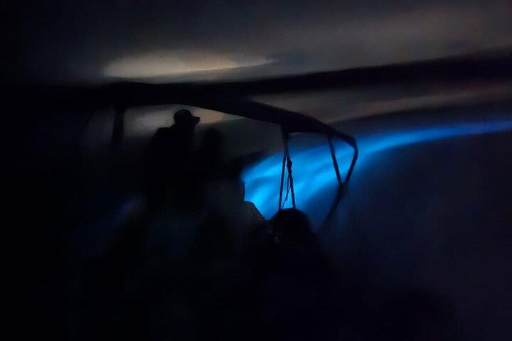 Bioluminescence Night Tour in Hopkins, Belize