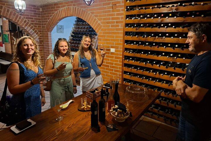 Pelješac Wine Tour from Dubrovnik: Taste the Best