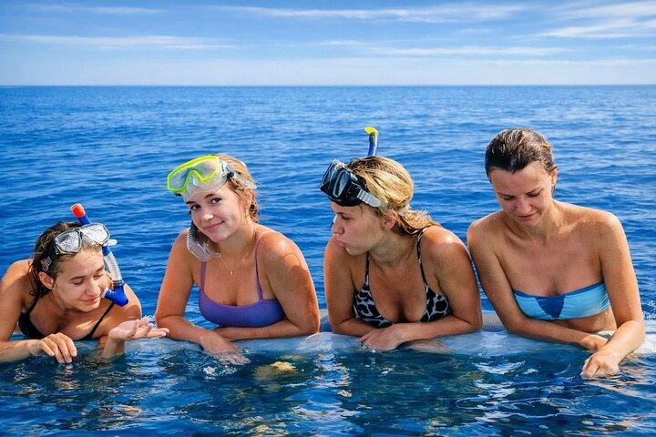 Lovina Dolphin Tour, Swimming with Dolphin and Snorkeling