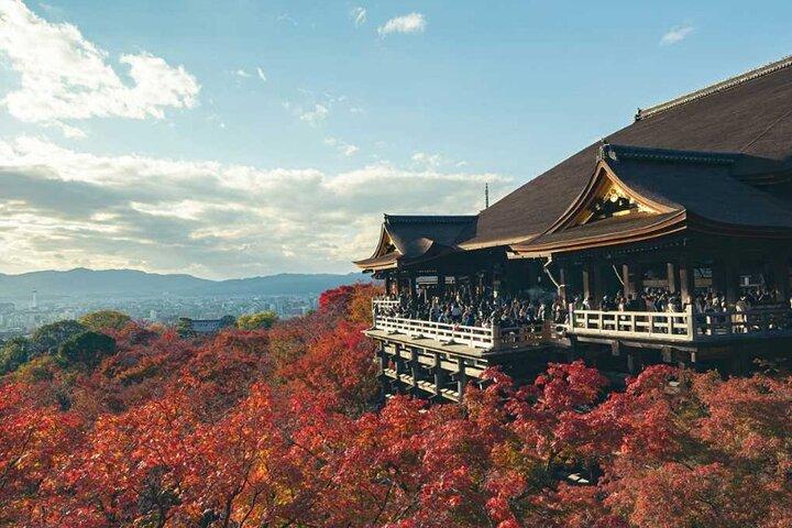 Private Shore Excursion in Kyoto City