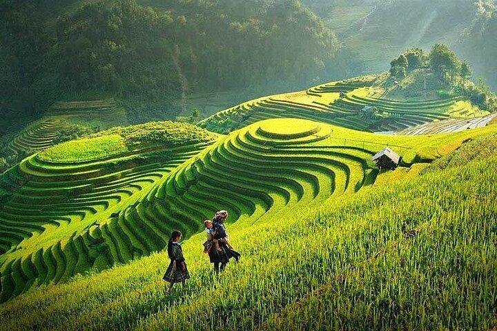 Authentic Sapa Trekking and Village Homestay Escape
