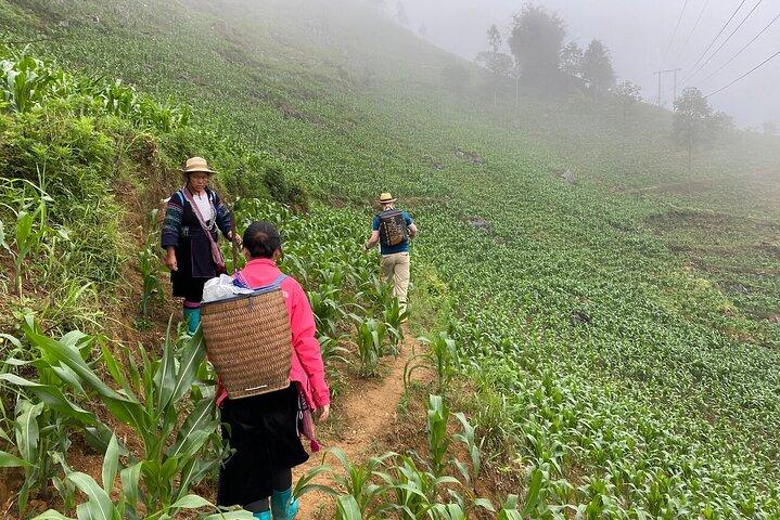Authentic Sapa Trekking and Village Homestay Escape