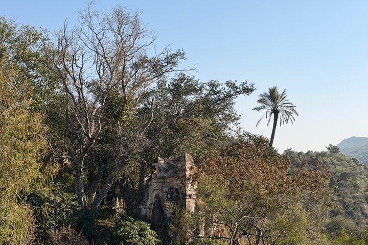 Thrones, Canyons and Temples Day Tour to Chakwal from Islamabad
