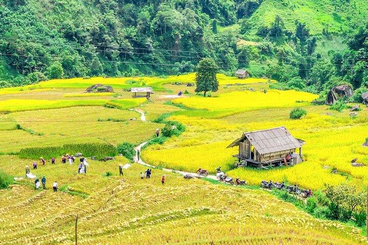 Full Day Sapa Car Tour Muong Hoa Valley and Nam Cang