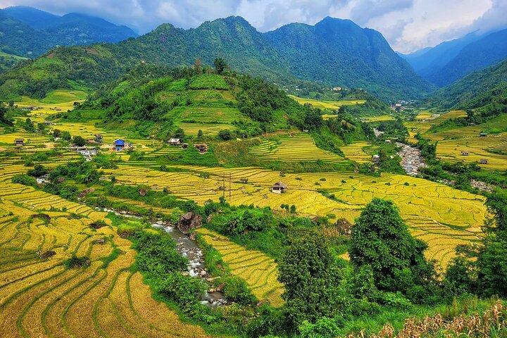 Full Day Sapa Car Tour Muong Hoa Valley and Nam Cang
