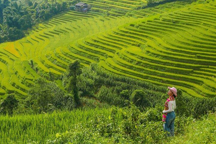 Full Day Sapa Car Tour Muong Hoa Valley and Nam Cang
