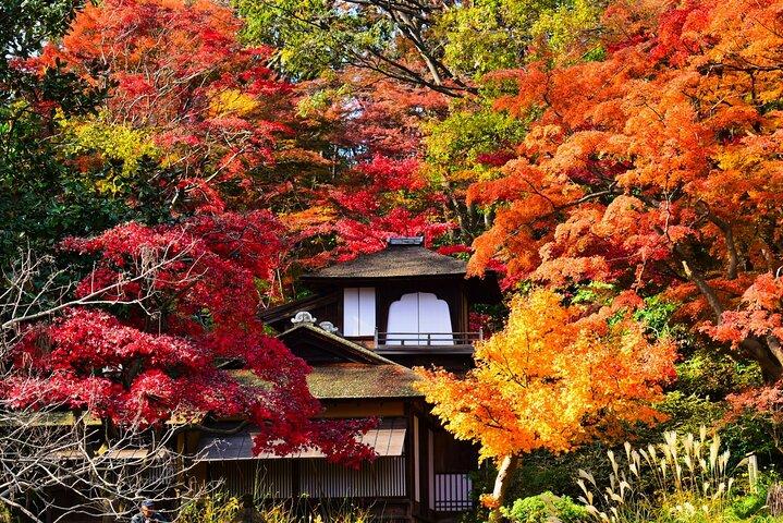 Yokohama: Understanding Sankeien Through Architecture &Space