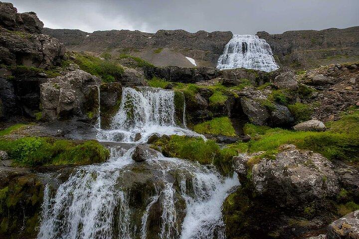 Isafjordur Port: Small Group Dynjandi Waterfall & Farm Visit Tour