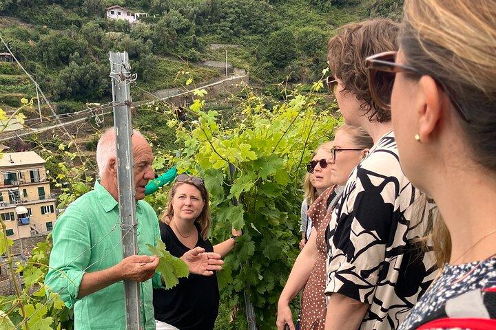 Wine Tasting Experience at Torre Bertram