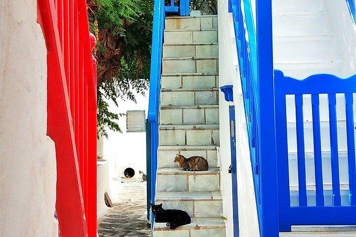 Private Mykonos Town And Countryside Tour