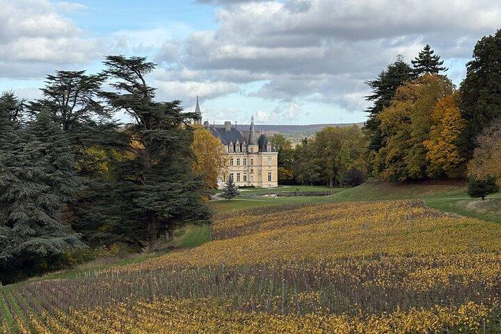 Half Day Champagne Experience and Tastings, Near Épernay