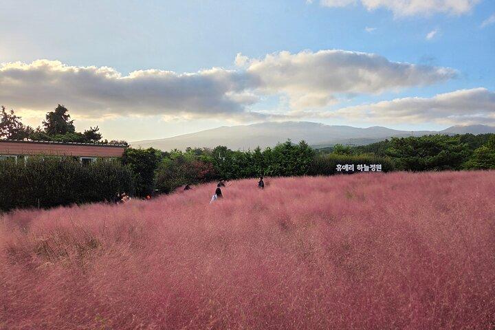 Jeju South-West UNESCO Tour & Hallasan