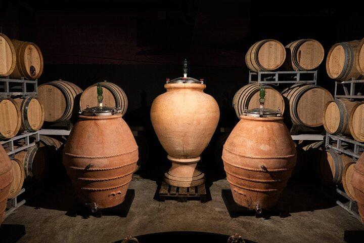 Morning Chianti E-Bike: Immersive Wine Experience & Local Lunch