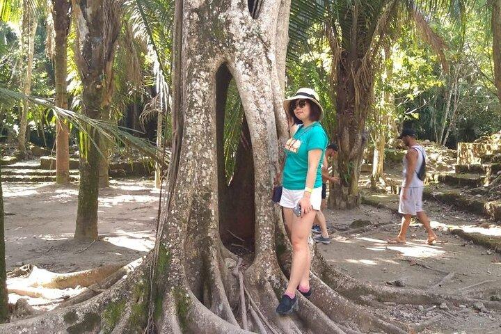 Chacchoben Mayan Ruins Excursion and Tequila Tasting Tour