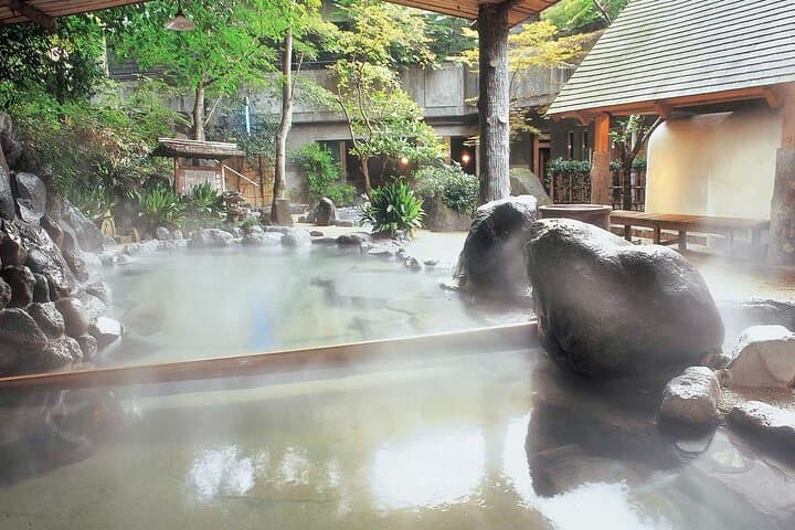 Hakone Day Tour from Tokyo by Car with Onsen Experience
