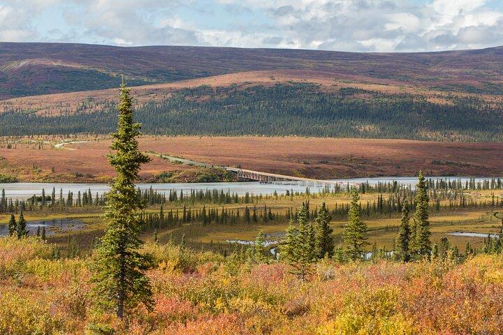 Wild Alaska Tour: Full-Day Scenic Journey from Fairbanks