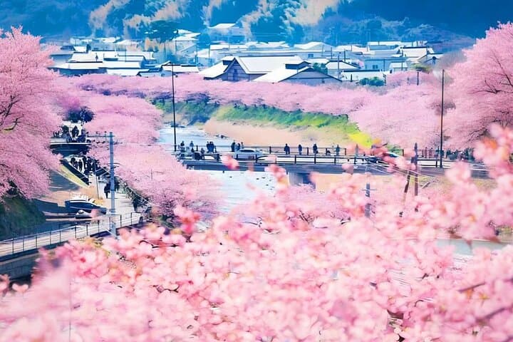Tokyo Kawazu Cherry Blossom, Strawberry Picking, and Onsen Trip