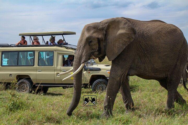 5 Days Kenya Luxury Safari