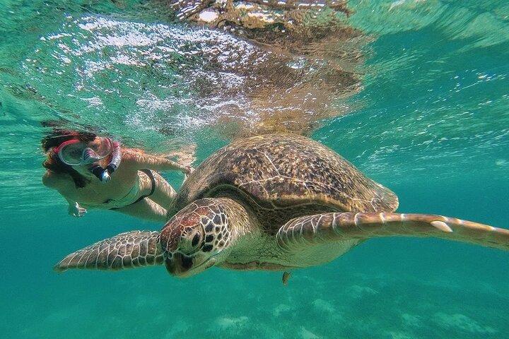 Tulum Mayan Ruins and Snorkeling with Turtles at Akumal